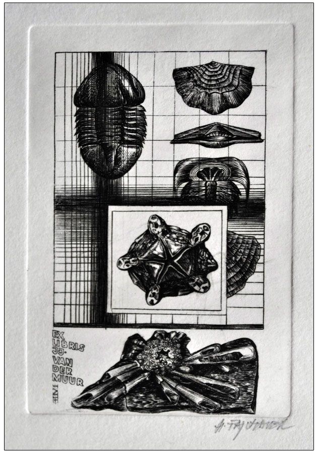 Feilhauer Henryk (08) Exlibris J. J. van der Muu, 1984, C2