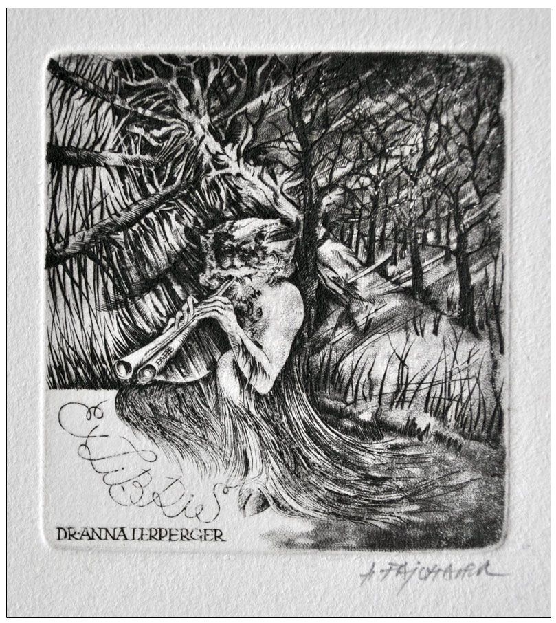 Feilhauer Henryk (10) Exlibris Dr Anna Lerperger, 1981, C2