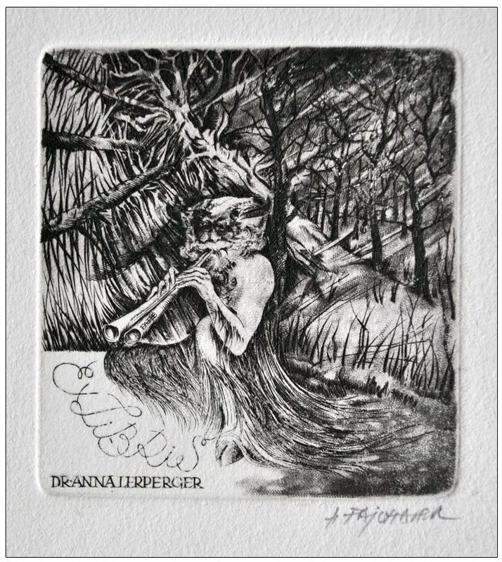 Feilhauer Henryk (10) Exlibris Dr Anna Lerperger, 1981, C2