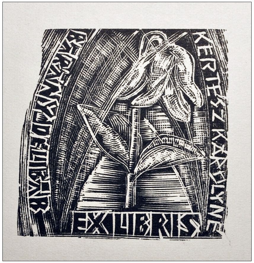 Trojan Marian (07) Exlibris Kertesz Karolyne, X2