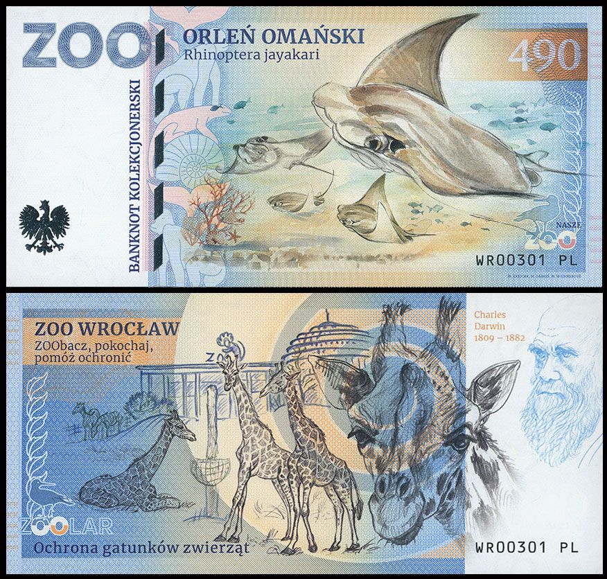 490 - Orleń omański - ZOO Wrocław (2025)