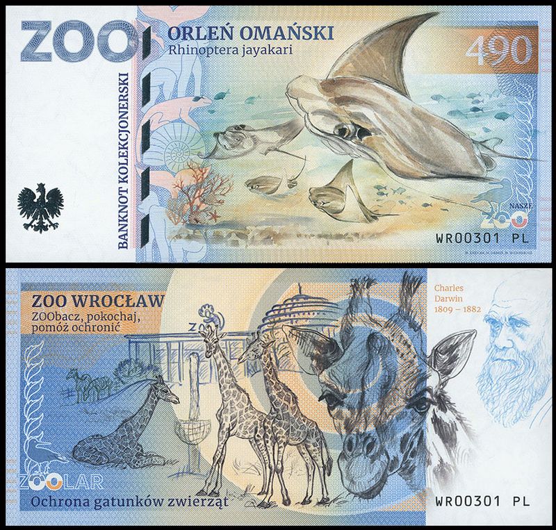 490 - Orleń omański - ZOO Wrocław (2025)