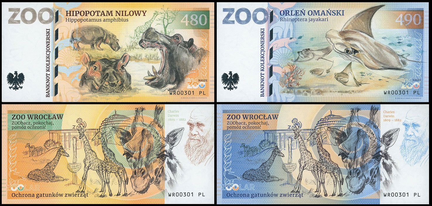 ZOO Wrocław - zestaw (2025)