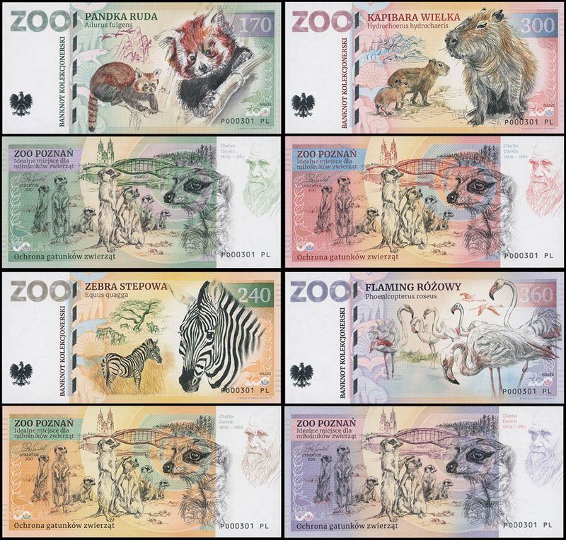 ZOO Poznań - zestaw (2025)