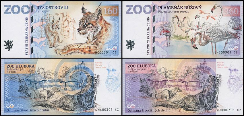 ZOO Hluboka - zestaw (2025)