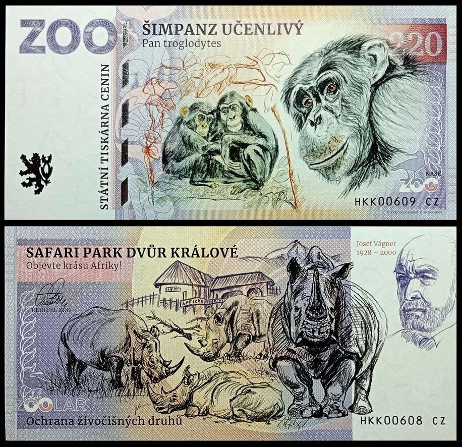 220 - Szympans zwyczajny - ZOO Dvur Kralove nad Labem (2025)