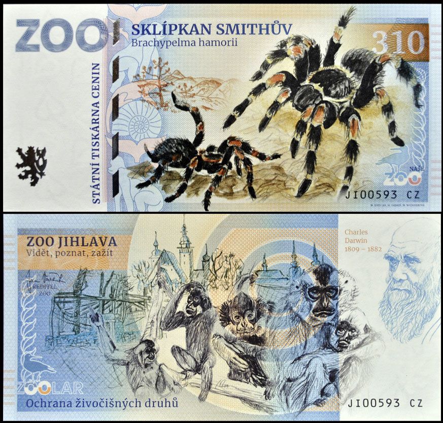 310 - Ptasznik - ZOO Jihlava (2025)