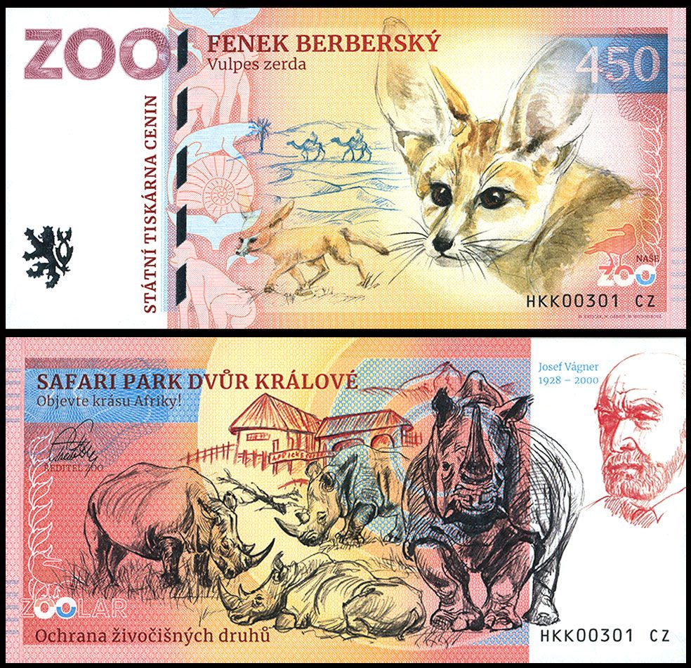 450 - Fenek pustynny - ZOO Dvur Kralove nad Labem (2025)