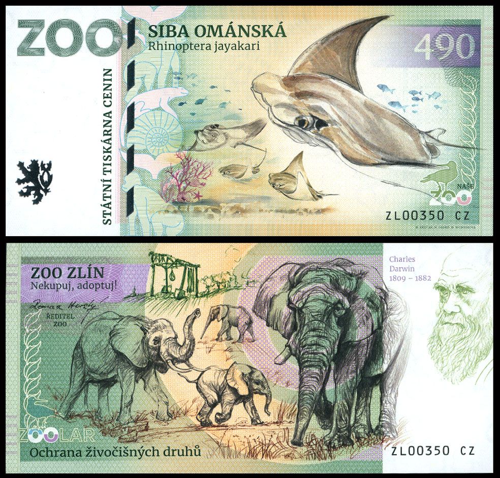 490 - Orleń omański - ZOO Zlin (2025)