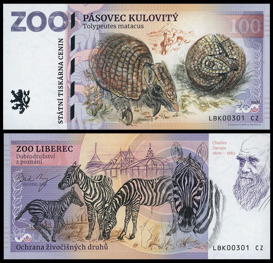 100 - Bolita południowa - ZOO Liberec (2025)