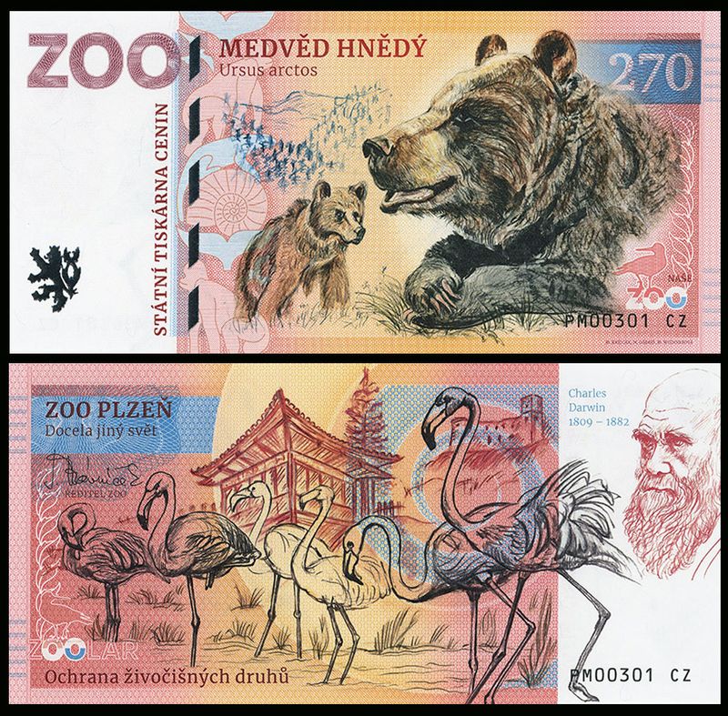 270 - Niedźwiedź brunatny - ZOO Plzen (2023)