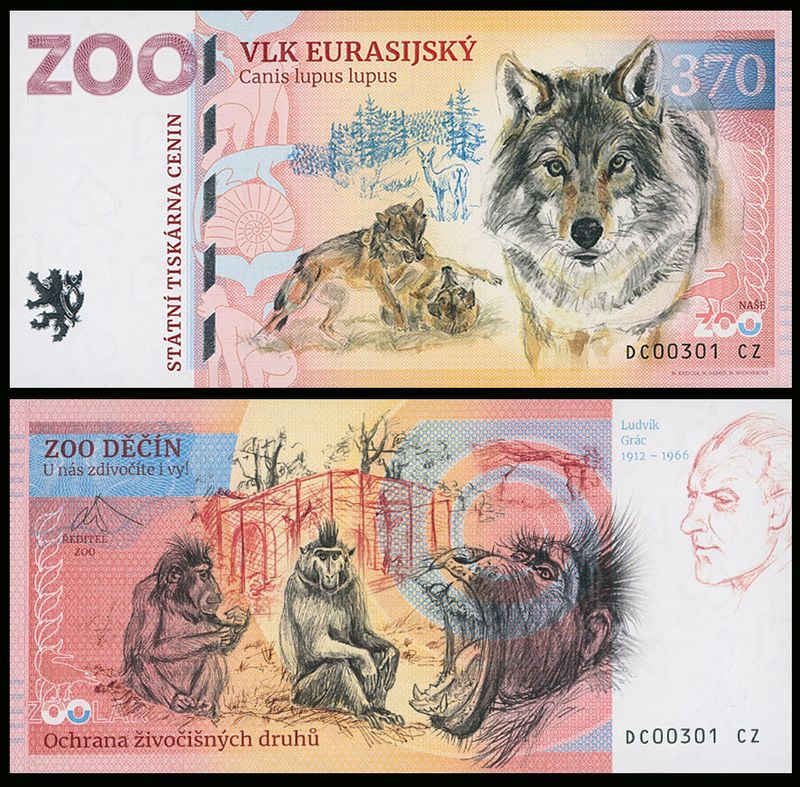 370 - Wilk europejski - ZOO Decin (2025)