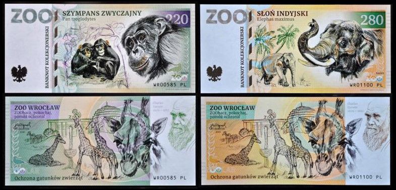 ZOO Wrocław - zestaw (2023)