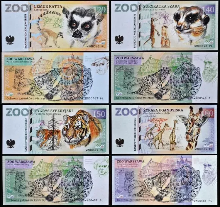 ZOO Warszawa - zestaw (2023)
