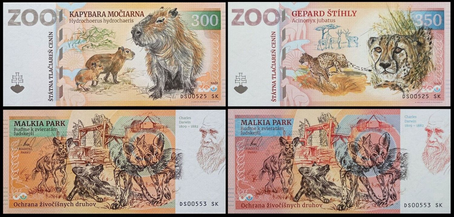 ZOO Malkia Park - zestaw (2024)