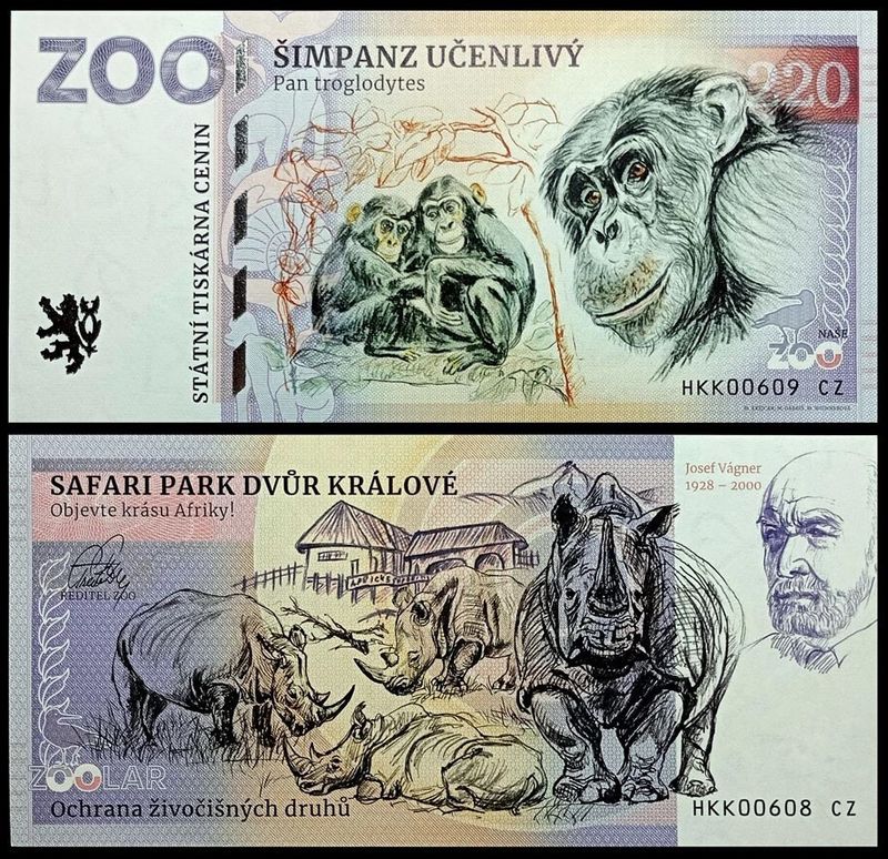 220 - Szympans zwyczajny - ZOO Dvur Kralove nad Labem (2025)