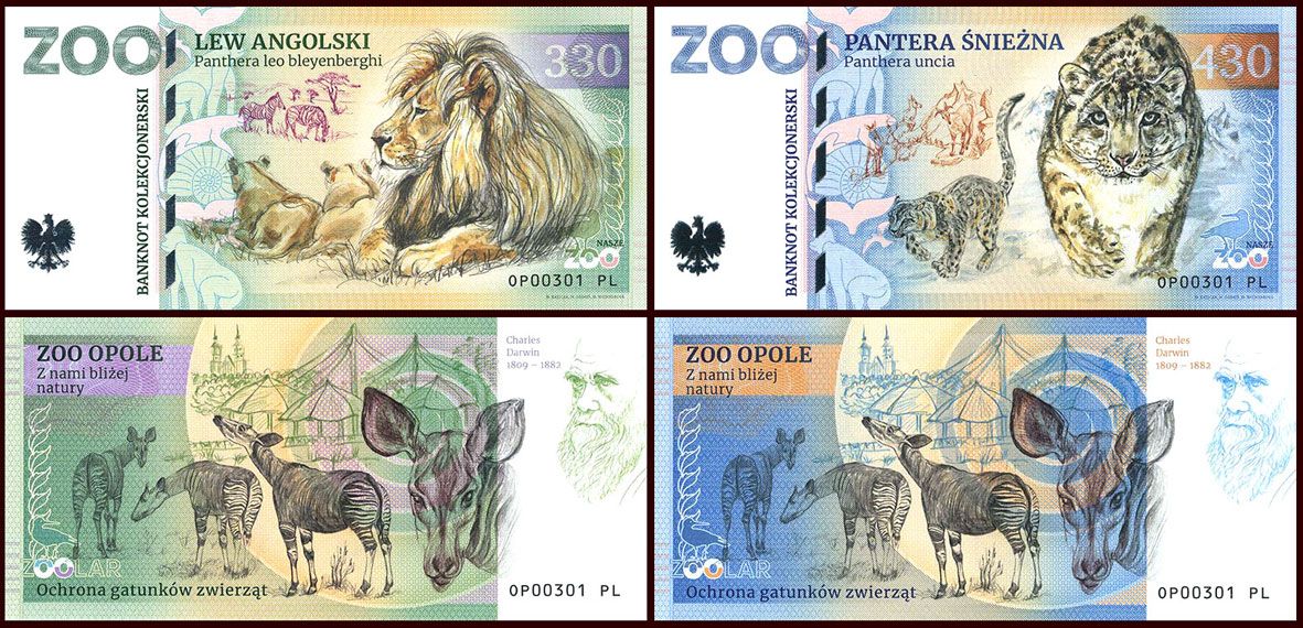 ZOO Opole - zestaw (2026)