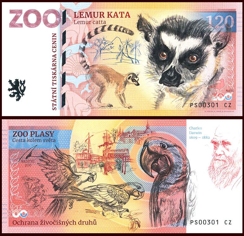 120 - Lemur katta - ZOO Plasy (2026)