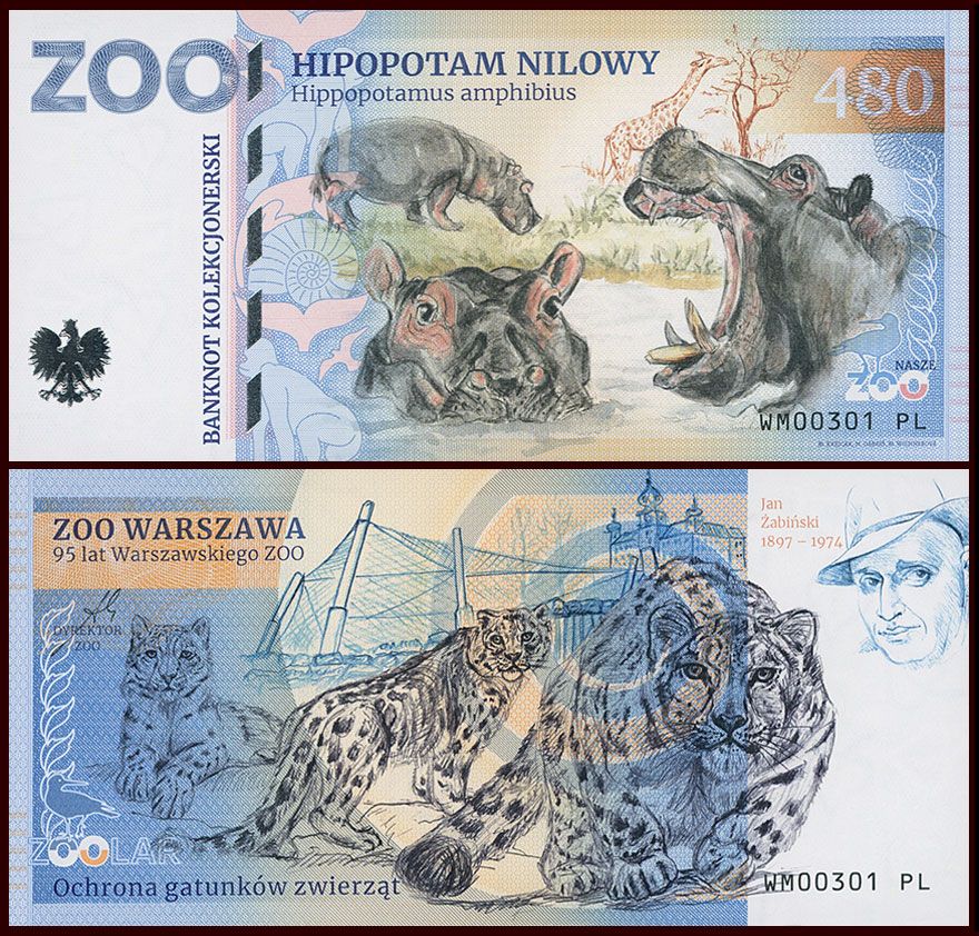 480 - Hipopotam nilowy - ZOO Warszawa (2025) - 95 lat Warszawskiego ZOO