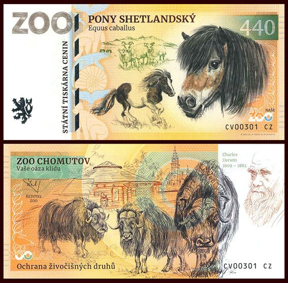 440 - Kuc szetlandzki - ZOO Chomutov (2026)