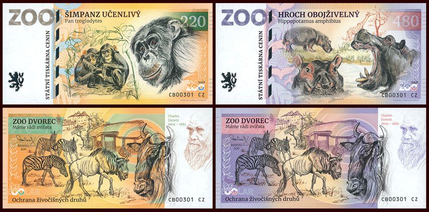 ZOO Dvorec - zestaw (2025)