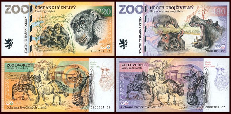 ZOO Dvorec - zestaw (2025)