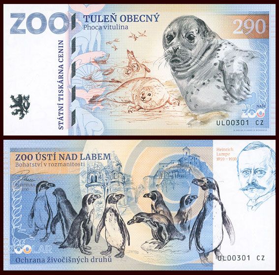 290 - Foka pospolita - ZOO Usti nad Labem (2026)