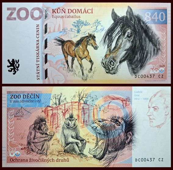 840 - Koń domowy - ZOO Decin (2026)