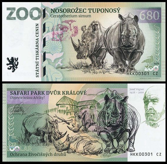 680 - Nosorożec tęponosy - ZOO Dvur Kralove nad Labem (2026)