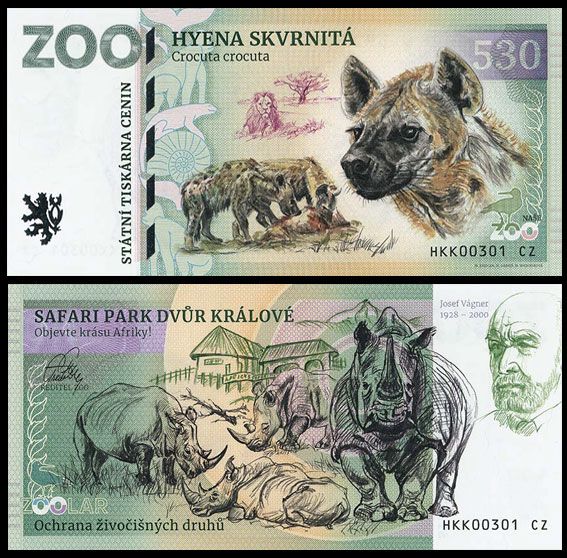 530 - Hiena cętkowana - ZOO Dvur Kralove nad Labem (2026)