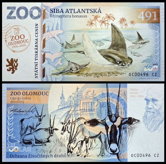 491 - Płaszczka karbogłowa - ZOO Olomouc (2026) - 70 lat ZOO