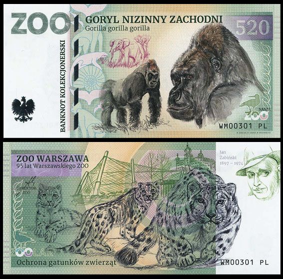 520 - Goryl nizinny zachodni - ZOO Warszawa (2026) - 95 lat Warszawskiego ZOO