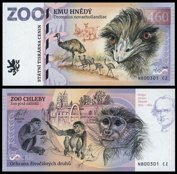 460 - Emu zwyczajne - ZOO Chleby (2026)