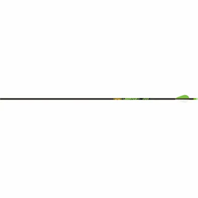 Gold Tip Shaft Carbon Hunting XT Hunter
