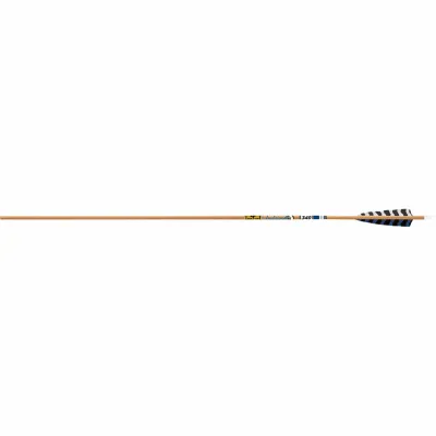 Gold Tip Shaft Carbon Traditional (12 St)