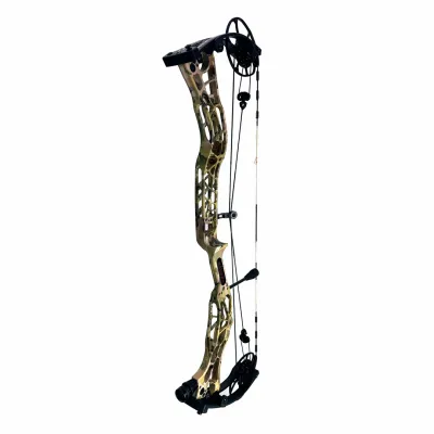 Darton Compound Bow Sequel 33 ST2