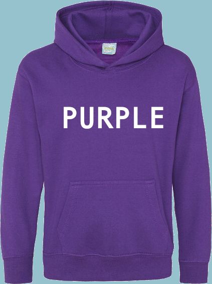 Arts1 Hoodie (Child)