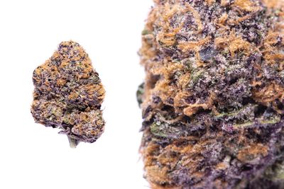 Concentrate