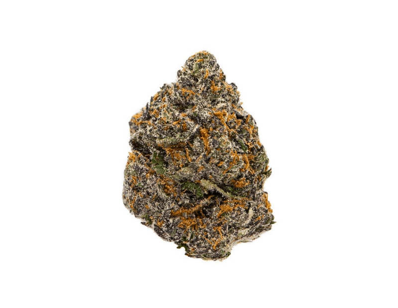 Black Cherry Gelato
