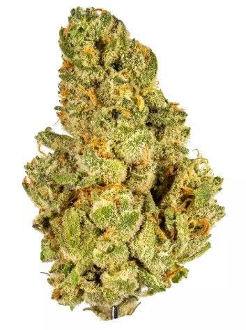 Kush Mintz