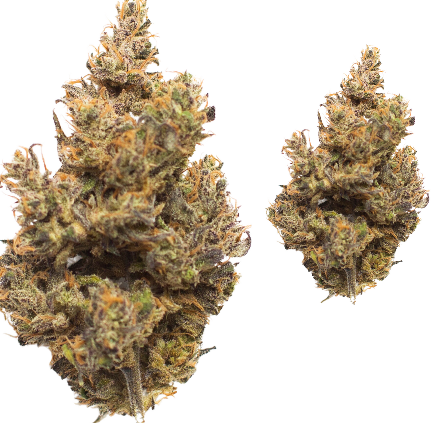 Purple Gas