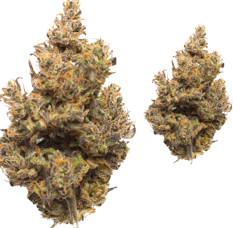 Purple Gas