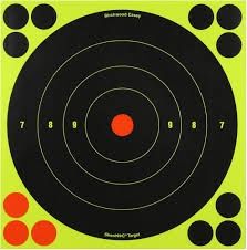 Reactive Targets 8&quot;