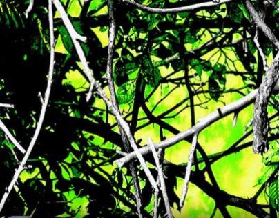 Moonshine Camo Toxic 0503101 L