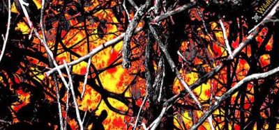 Moonshine Wildfire Camo 5402100 M