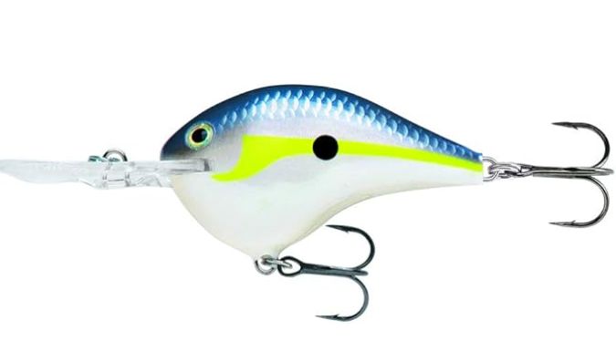 Rapala Rippin&#39; Rap Crankbait Helsinki Shad 2 1/2&quot;