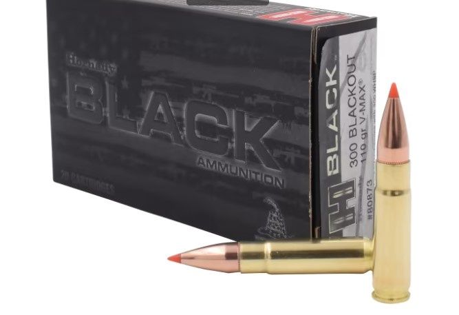 Hornady Black 300 Blackout 110 gr V-MAX