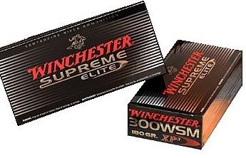 Winchester 7mm WSM 160 Gr