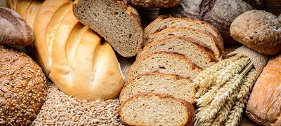 Brood