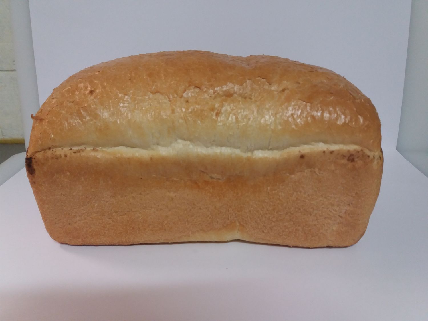 Wit brood